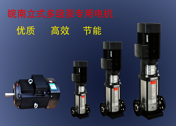 皖南立式多级泵专用电机 皖南立式多级泵专用电机